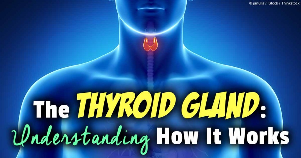Natural Cures For The Different Thyroid Gland Problems