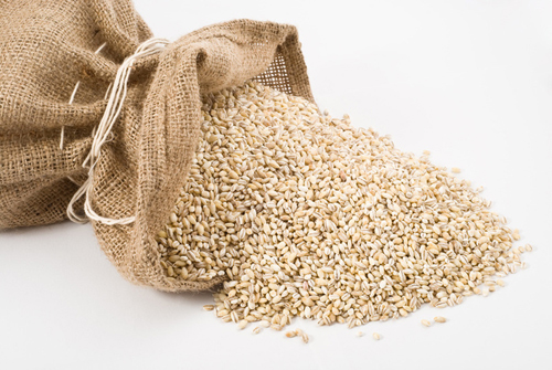 Best Superfoods for Weight Loss