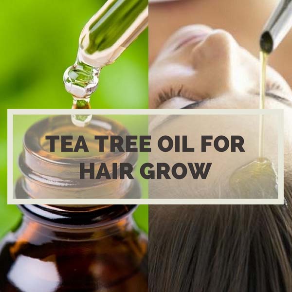Tea Tree Oil For Hair Growth