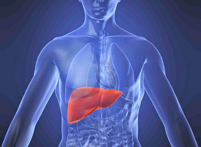 Foods that Cleanse the Liver