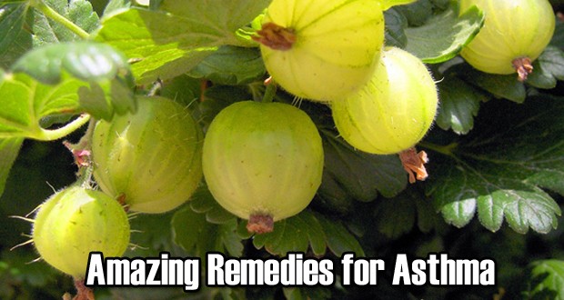 15 Amazing Home Remedies for Asthma