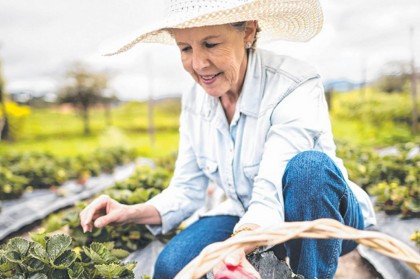 Gardens that help with dementia