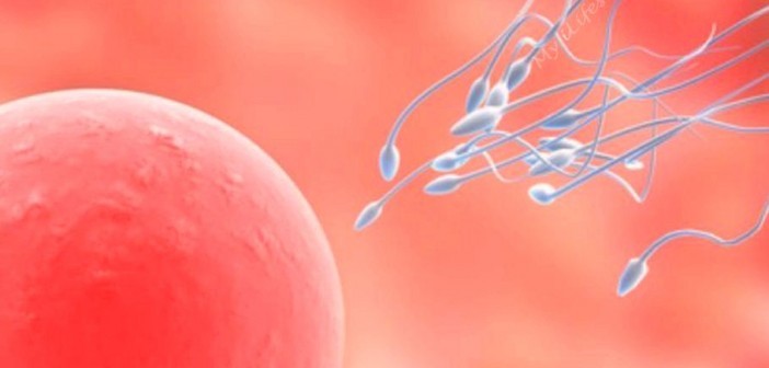 9 Tips to Make Your Sperm Stronger, Faster and More Fertile