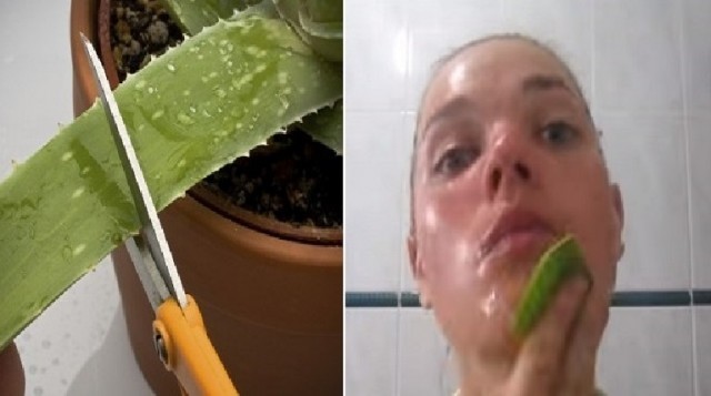 SHE RUBS ALOE VERA ON HER FACE. WHAT HAPPENS AFTER 15 MINUTES WILL SURPRISE YOU!