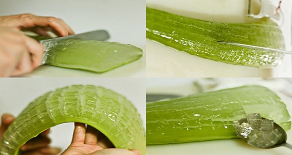 18 Mind Blowing Reasons Why Aloe Vera Is A Miracle Medicine Plant. You Will Never Buy Expensive Products Again!