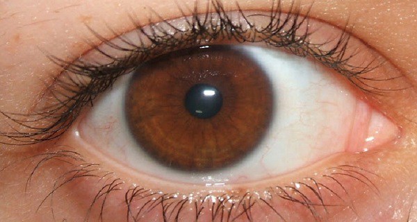 SECRETS OF THE PEOPLE WITH BROWN EYES, THAT THEY THEMSELVES ARE NOT AWARE